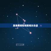属兔男婚配啥属相女合适，属兔的男人和什么属相最配