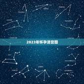 2023年怀孕清宫图，你们知道清宫表2023生男生女图吗？