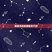属相马和龙婚配好不好，属相马和龙和得来吗？