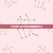 1969年1月9号出生属相是什么，1969年1月9日2点出生的人生辰八