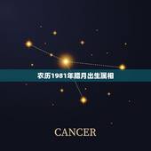 农历1981年腊月出生属相，1981年农历12月初九出生生肖是什么
