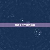 属虎十二个月的运势，属虎人2022年运势运程