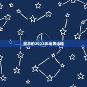 属羊的2022年运势运程，1991年属羊未来10年运势