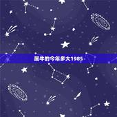 属牛的今年多大1985，属牛的分别是多少岁了？