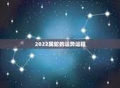2022属蛇的运势运程，蛇人2021年运势运程