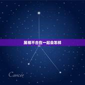 属相不合在一起会怎样，属相不合父母反对怎么办