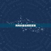 狗狗的最佳婚配属相，女属狗的属相婚配表