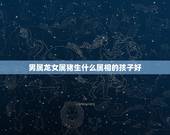 男属龙女属猪生什么属相的孩子好，属猪与属龙相配吗