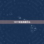 1977年生肖属什么，77年属什么生肖的？