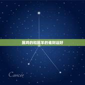 属鸡的和属羊的谁财运好，女属羊和女属鸡在一起财运如何？