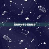 属相猴和哪个属相相冲，属猴和什么属相犯冲