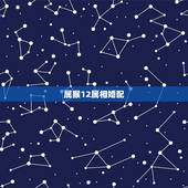 属猴12属相婚配，1993男属鸡的和什么属相最配