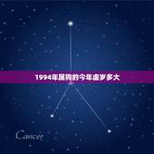 1994年属狗的今年虚岁多大，1994年虚岁多少