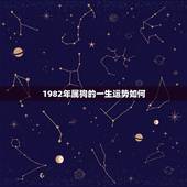 1982年属狗的一生运势如何，1982年属狗女运势
