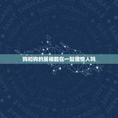 狗和狗的属相能在一起做情人吗，属狗的和属猴做情人，会给彼此带来好运吗