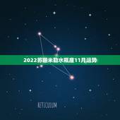 2022苏珊米勒水瓶座11月运势，苏珊米勒水瓶座2019年运势完整版