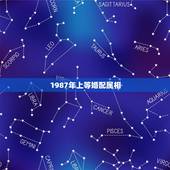 1987年上等婚配属相，男属兔87年和什么属相最配