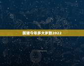 属猪今年多大岁数2022，2022年生肖猪的全年运势