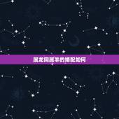 属龙同属羊的婚配如何，属羊和属龙的相克么，能不能在一起？