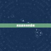 属鼠最忌讳的属相，属鼠的不能找什么生肖