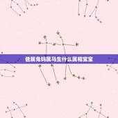 爸属兔妈属马生什么属相宝宝，爸爸属兔妈妈属马孩子什么属相好