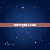 属猪的今日财运奇缘网