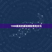 1988属龙的最佳婚配男龙女马，1988属龙的属相婚配表