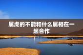 属虎的不能和什么属相在一起合作，属猪的和什么属相最配