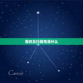 霏的五行属性是什么，霏靓五行康养对肩颈痛都
