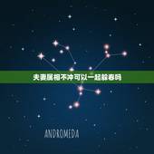 夫妻属相不冲可以一起躲春吗，立春躲春的禁忌