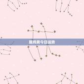 属鸡男今日运势，属鸡今日财运哪个方位