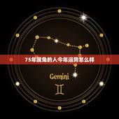 75年属兔的人今年运势怎么样 75属兔的今年每月运势怎么样