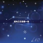 道光乙巳是哪一年，乙巳年是什么命