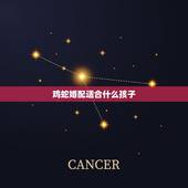 鸡蛇婚配适合什么孩子，我老公属蛇，我属鸡，要个什么属相的孩子好？