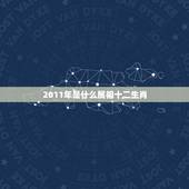 2011年是什么属相十二生肖，十二生肖2011年是什么兔