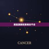 属鼠跟属蛇属相合不合，属鼠和属蛇的合不合财？