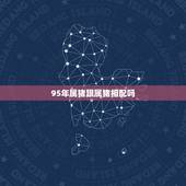 95年属猪跟属猪相配吗，95年属猪的姻缘在哪年