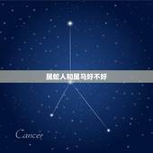属蛇人和属马好不好，属蛇和属马的合不合财