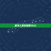 属马人虎年运势2022，2022年生肖马运势