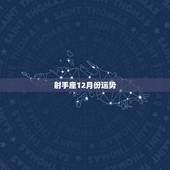 射手座12月份运势，12月份射手座的运势如何拜托各位大神