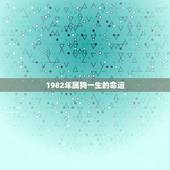 1982年属狗一生的命运，82年属狗有三大难