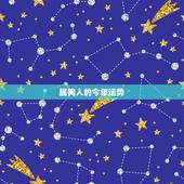属狗人的今年运势，2022 年生肖狗女好运 名