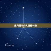 生肖属羊的人性格特点，职业性格测试免费版