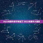 2022年属牛终于转运了 2022年属牛大爆发