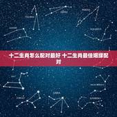 十二生肖怎么配对最好 十二生肖最佳姻缘配对