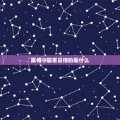 属相中四害日指的是什么，十二生肖中四害是什么，一害二、三、四害分别是什