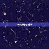 一共有多少种b，维生素B一共有多少种？