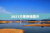 2021只想挣钱图片，2021年女孩做什么生意好挣钱