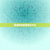 属相鸡和属相鸡合不合，猪和鸡属相合不合