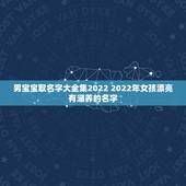 男宝宝取名字大全集2022 2022年女孩漂亮有涵养的名字